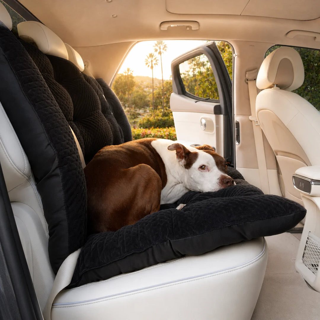 Animals Matter LA Dog Company Turbo Travel Bench in black, featuring a Companion resting on a quilted dog car seat cover for comfortable travel.