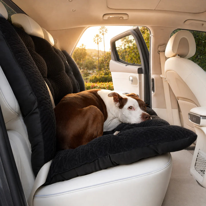 Animals Matter LA Dog Company Turbo Travel Bench in black, featuring a Companion resting on a quilted dog car seat cover for comfortable travel.