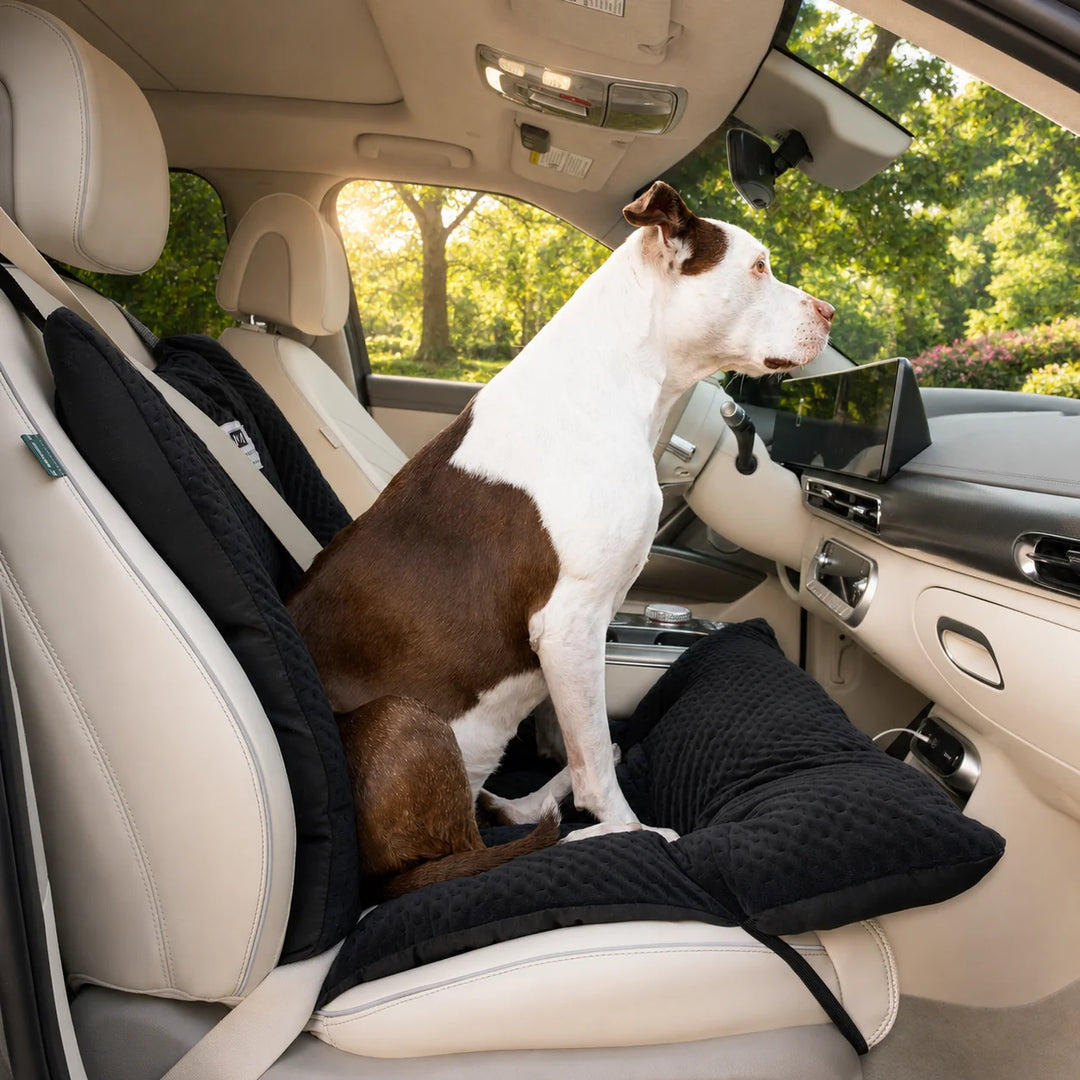 Animals Matter LA Dog Company Turbo Travel Bucket in black, featuring a Companion sitting on a quilted dog car seat cover for comfortable travel.