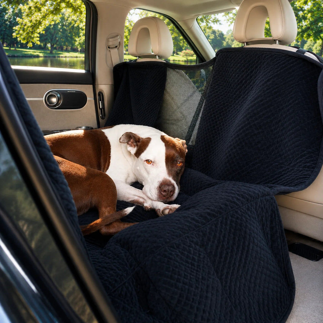Animals Matter LA Dog Company Turbo Travel Hammock in black, featuring a Companion resting on a textured dog car seat cover.