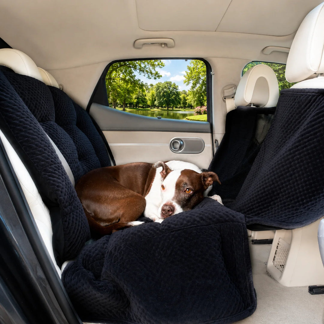 Animals Matter LA Dog Company Turbo Travel Hammock in black, featuring a Companion resting on a quilted dog car seat cover.