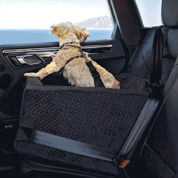 CHARGER ENJOYING HIS RIDE ON THE L.A. Dog Company® Rider Turbo Dog Car Seat - Animals Matter, Inc.