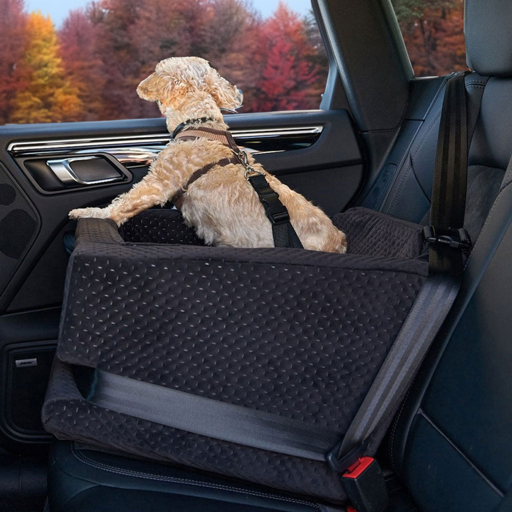 Charger sitting on the L.A. Dog Company® Rider Turbo Car Seat in a car with autumn foliage outside