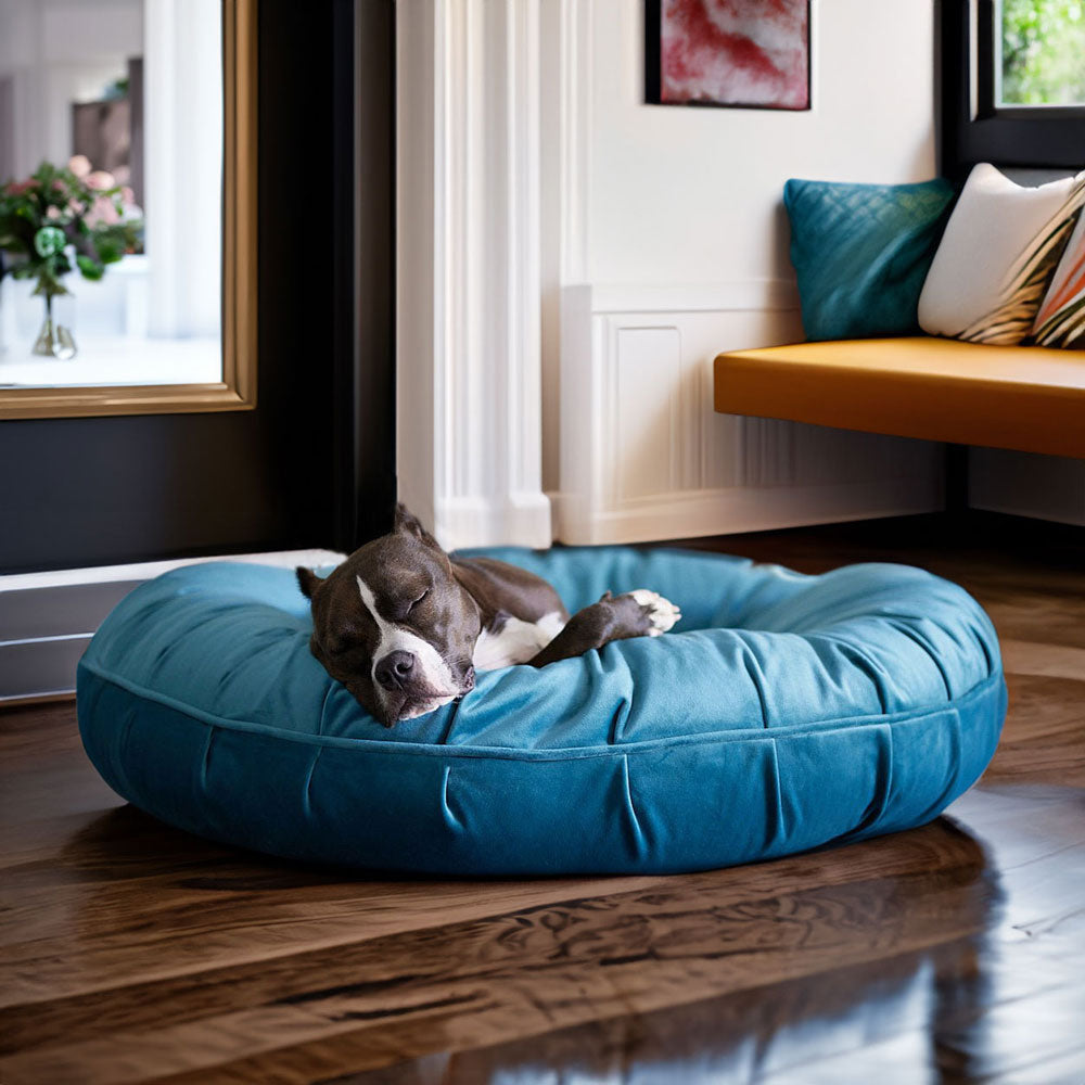 Ali enjoying her new Turquoise LA Dog Donut Luxury Dog Bed 