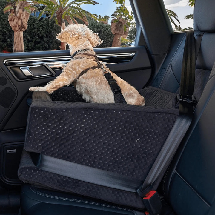 Animals Matter LA Dog Company Rider Turbo dog car seat  2X in black, featuring a small dog secured in a quilted seat while looking out the car window.