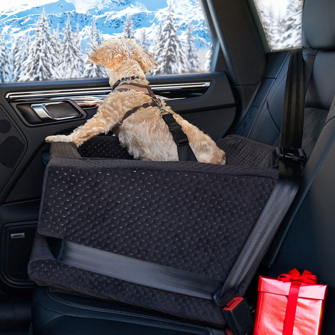 Charger sitting on the L.A. Dog Company® Rider Turbo Car Seat in a car with winter snow and foliage outside