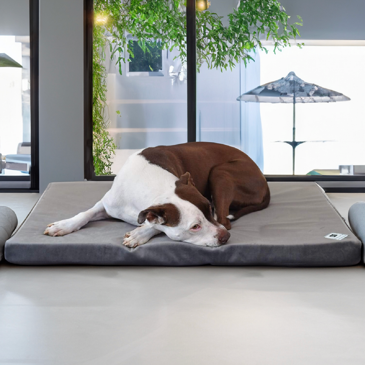 Waterproof dog crate pad deals