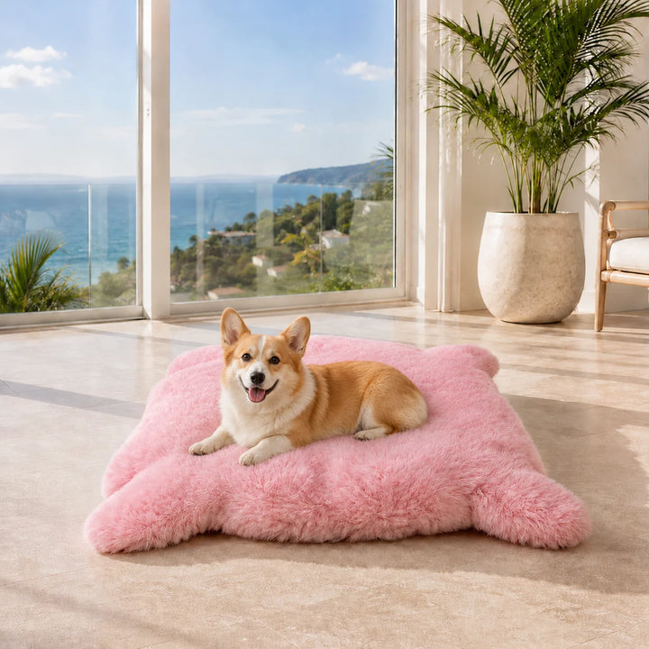 Animals Matter Luxury Faux Fur Shag Bear Bed luxury faux fur dog bed in Pink, featuring a corgi Companion resting on plush faux fur with an ocean view.