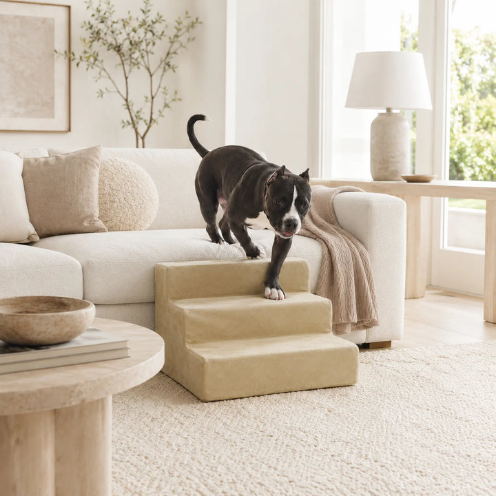 Animals Matter Mini Companion Stairs 3-Step Camel dog stairs for couch in a bright neutral living room, featuring a black and white dog using camel pet steps.