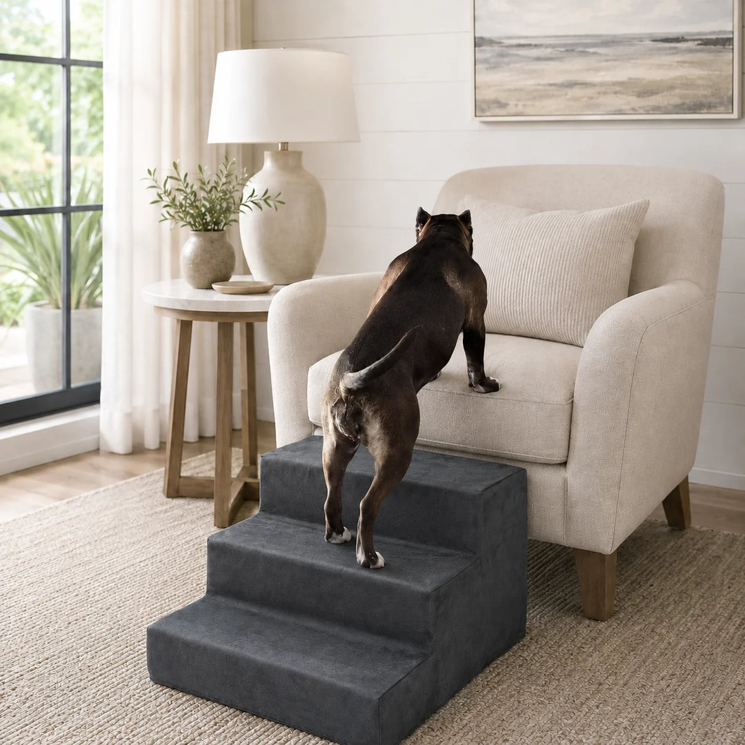 Animals Matter Mini Companion Stairs 3-Step Charcoal dog stairs for chair in a bright living room, featuring a small dog climbing onto a cream armchair.