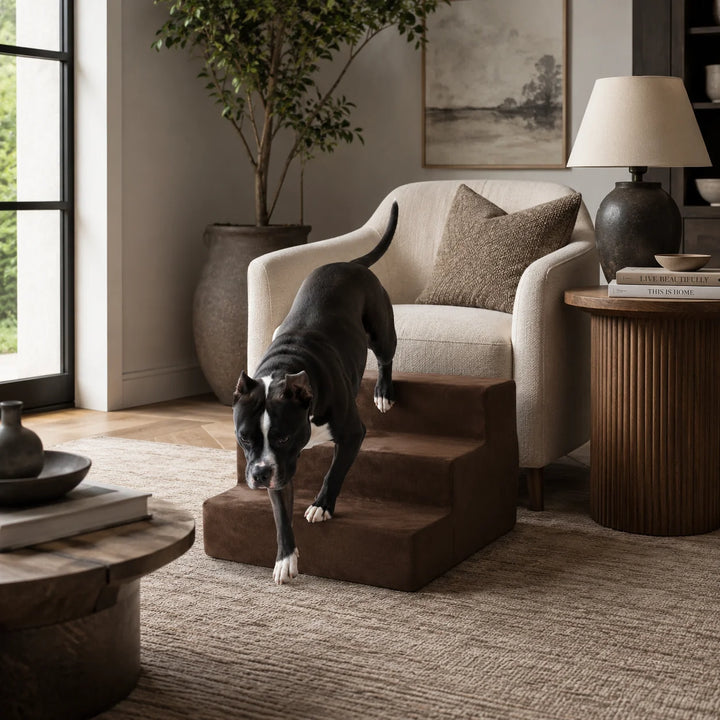 Animals Matter Mini Companion Stairs 3-Step Chocolate dog stairs for chair in a warm living room, featuring a black and white dog using chocolate pet steps.