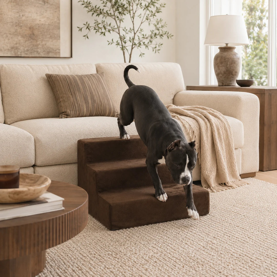 Animals Matter Mini Companion Stairs 3-Step Chocolate dog stairs for couch in a warm neutral living room, featuring a black and white dog using chocolate pet steps.