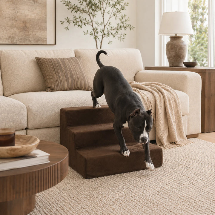 Animals Matter Mini Companion Stairs 3-Step Chocolate dog stairs for couch in a warm neutral living room, featuring a black and white dog using chocolate pet steps.
