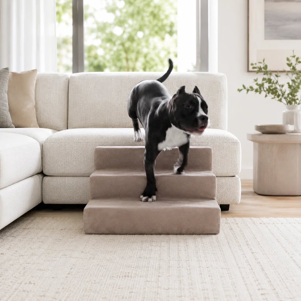 Animals Matter Mini Companion Stairs 3-Step Stone dog stairs for couch in a bright living room, featuring a black and white dog using stone pet steps.
