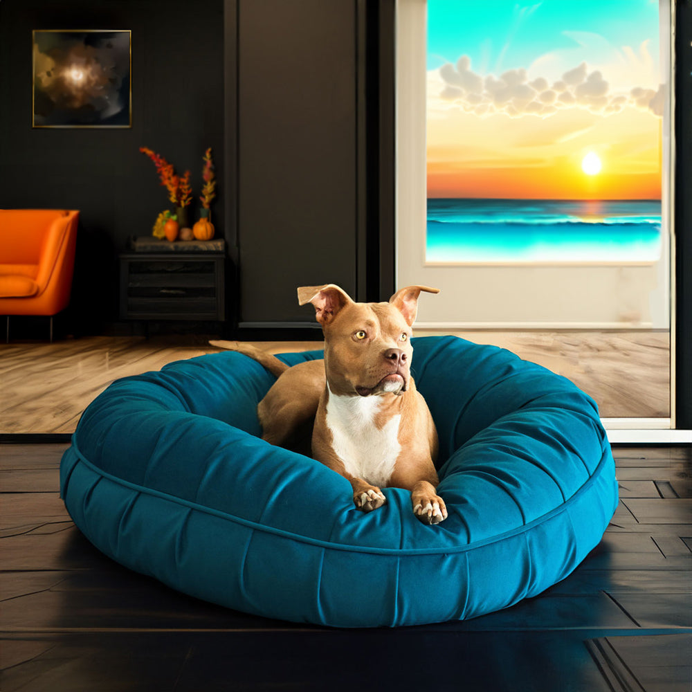Rxy lying on a L.A. Dog Company® Ali Donut® dog bed in Turquoise in a modern living room with a sunset painting.