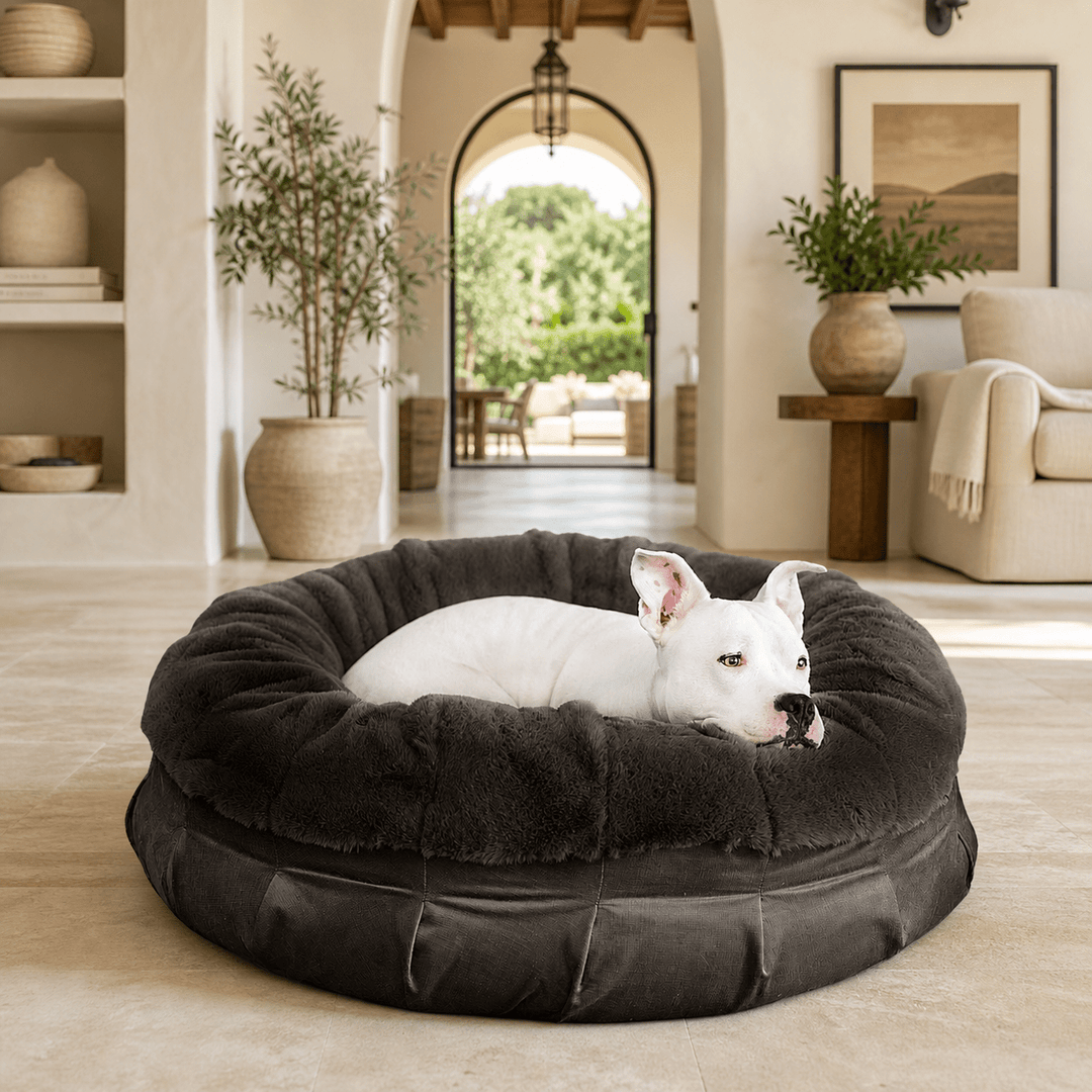 Ruby Puff® Ortho Companion - Pedic® Luxury Dog Bed - Animals Matter, Inc.