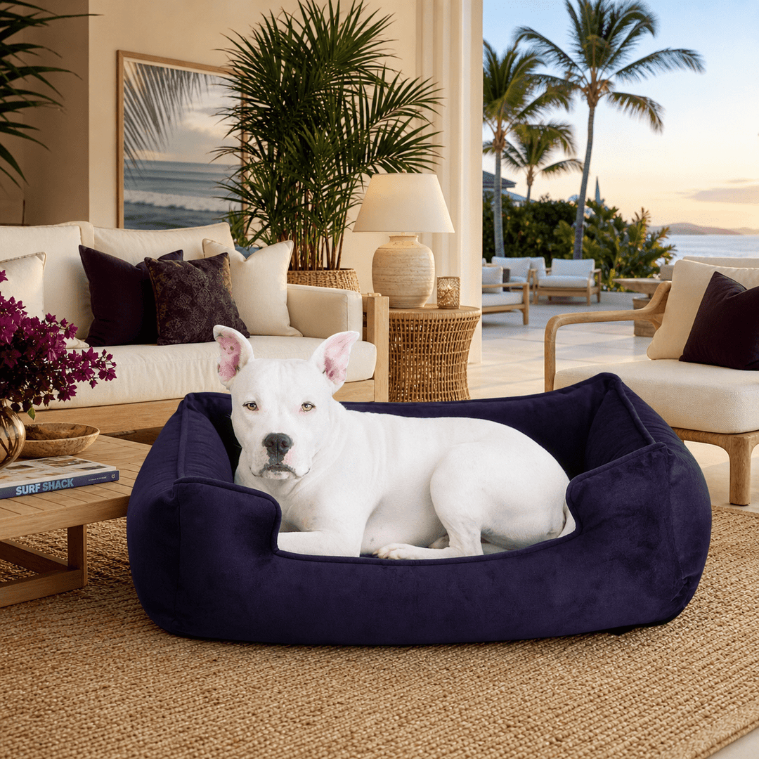 Ali Jewel Ortho Lounger® Companion - Pedic® Luxury Dog Bed - Animals Matter, Inc.