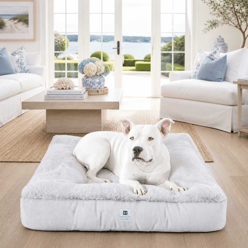Ruby Puff® Ortho Square Companion - Pedic® Luxury Faux Fur Dog Bed - Animals Matter, Inc.