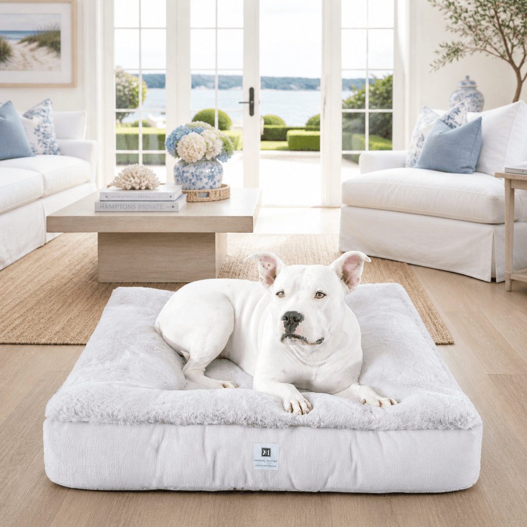 Ruby Puff® Ortho Square Companion - Pedic® Luxury Faux Fur Dog Bed - Animals Matter, Inc.