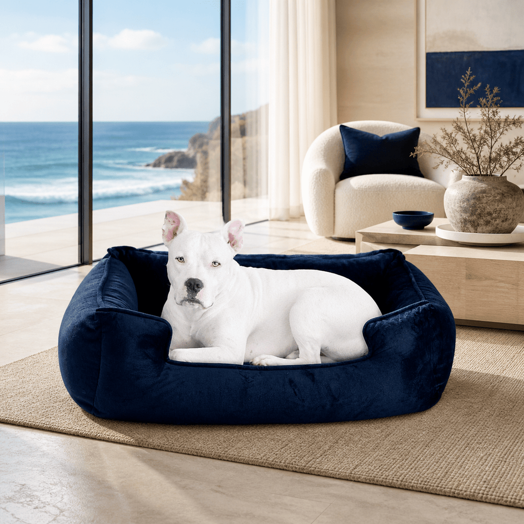 Ali Jewel Ortho Lounger® Companion - Pedic® Luxury Dog Bed - Animals Matter, Inc.
