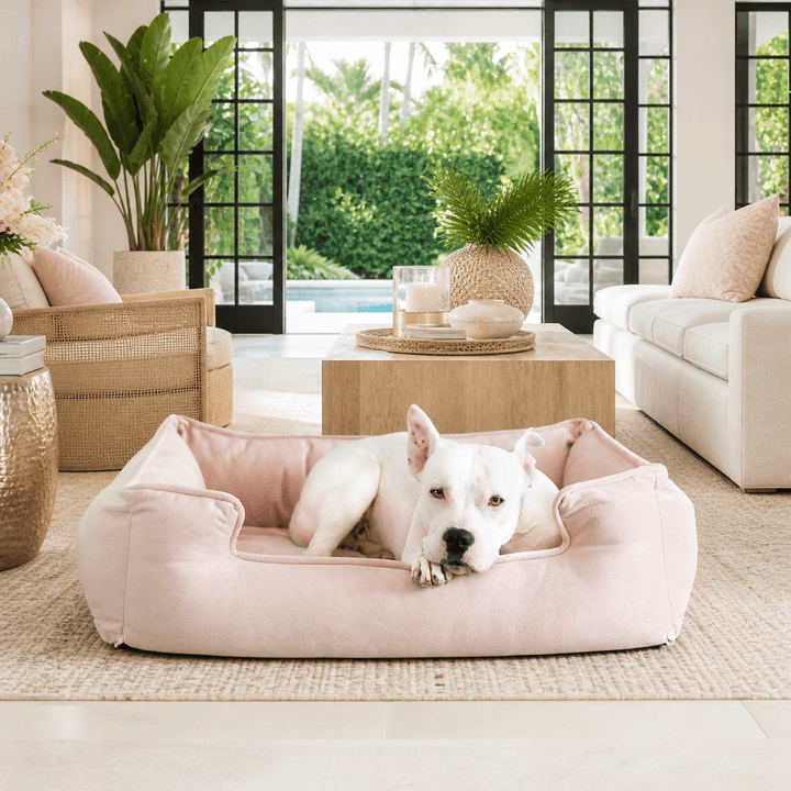 Ali Jewel Ortho Lounger® Companion - Pedic® Luxury Dog Bed - Animals Matter, Inc.