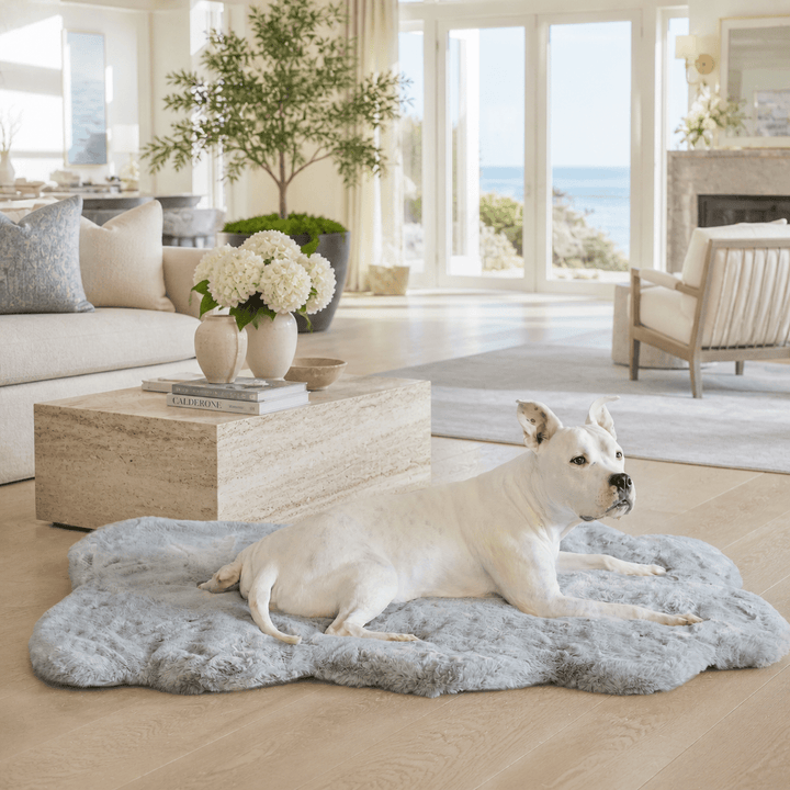 White dog lying on a fluffy rug in a bright living room. This is the Animals Matter Ruby ortho Rug in Gray.