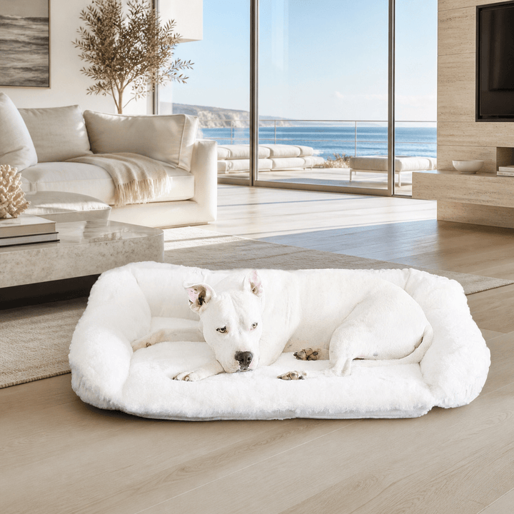 A White dog resting in the Ruby Puff® Ortho Companion-Pedic® Luxury Dog Bed - Animals Matter, Inc.