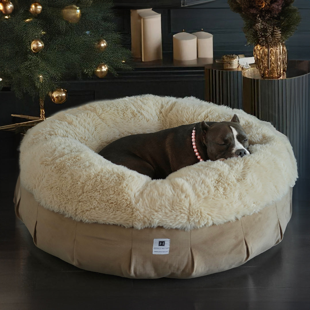 Animals Matter Roxy Ortho Puff Beach Sand Companion-Pedic Luxury Dog Bed