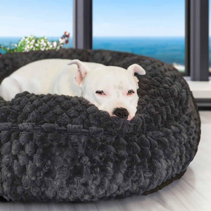 The New Katie Puff Encore Luxury Dog Bed. Made with Comapnion-Pedic Foam and Luxura-Fill Fiber by Animals Matter.