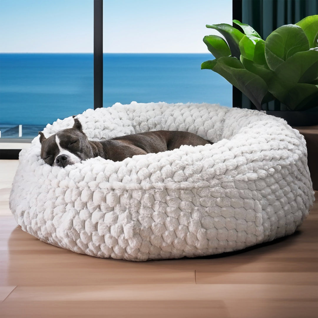 The New Katie Puff Encore Luxury Dog Bed. Made with Comapnion-Pedic Foam and Luxura-Fill Fiber by Animals Matter.