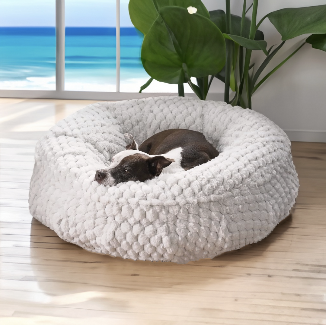 Animals Matter Katie Puff Encore Orthopedic and Companion-Pedic Luxury Dog Bed in Pearl Gray 