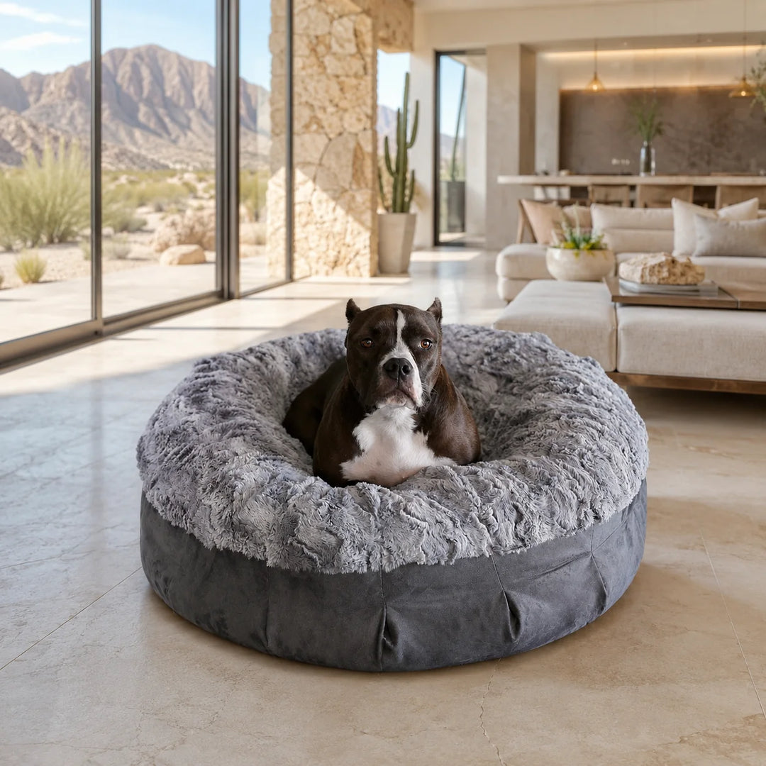 Animals Matter Pearl Companion Puff™ Gray Charcoal luxury faux fur dog bed in a desert modern home, featuring a brown-and-white Companion sitting in a gray charcoal bed.