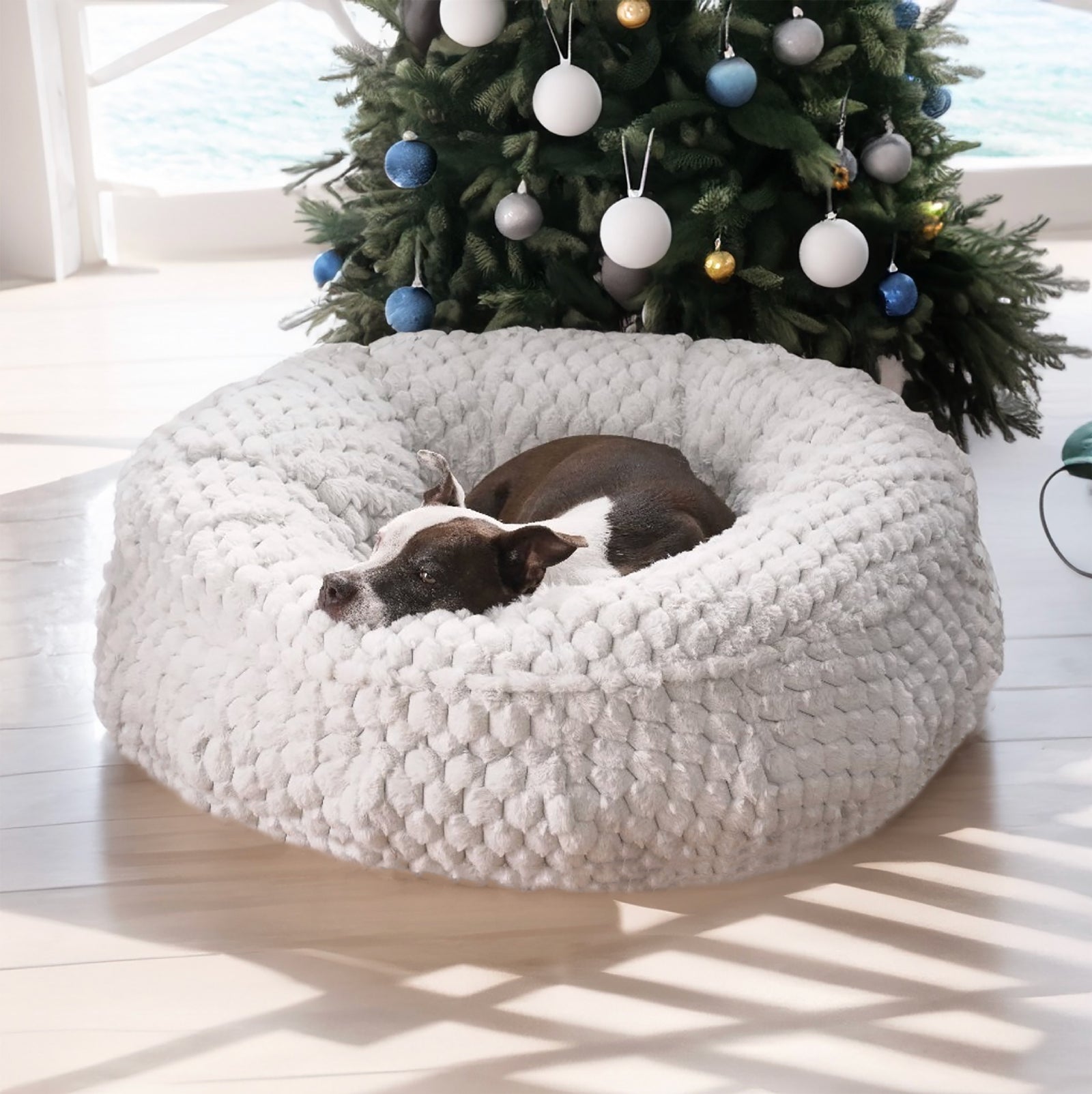 https://animalsmatter.com/cdn/shop/files/Pearl-Gray-Encore-Puff-Holiday-WEB_1600x.jpg?v=1701533054