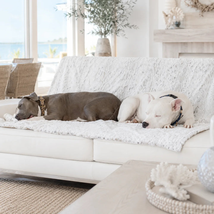 Animals Matter Pearl Leopard Faux Fur Dog Blanket luxury faux fur dog blanket on a coastal sofa, featuring two Companions sleeping on soft pearl leopard faux fur.