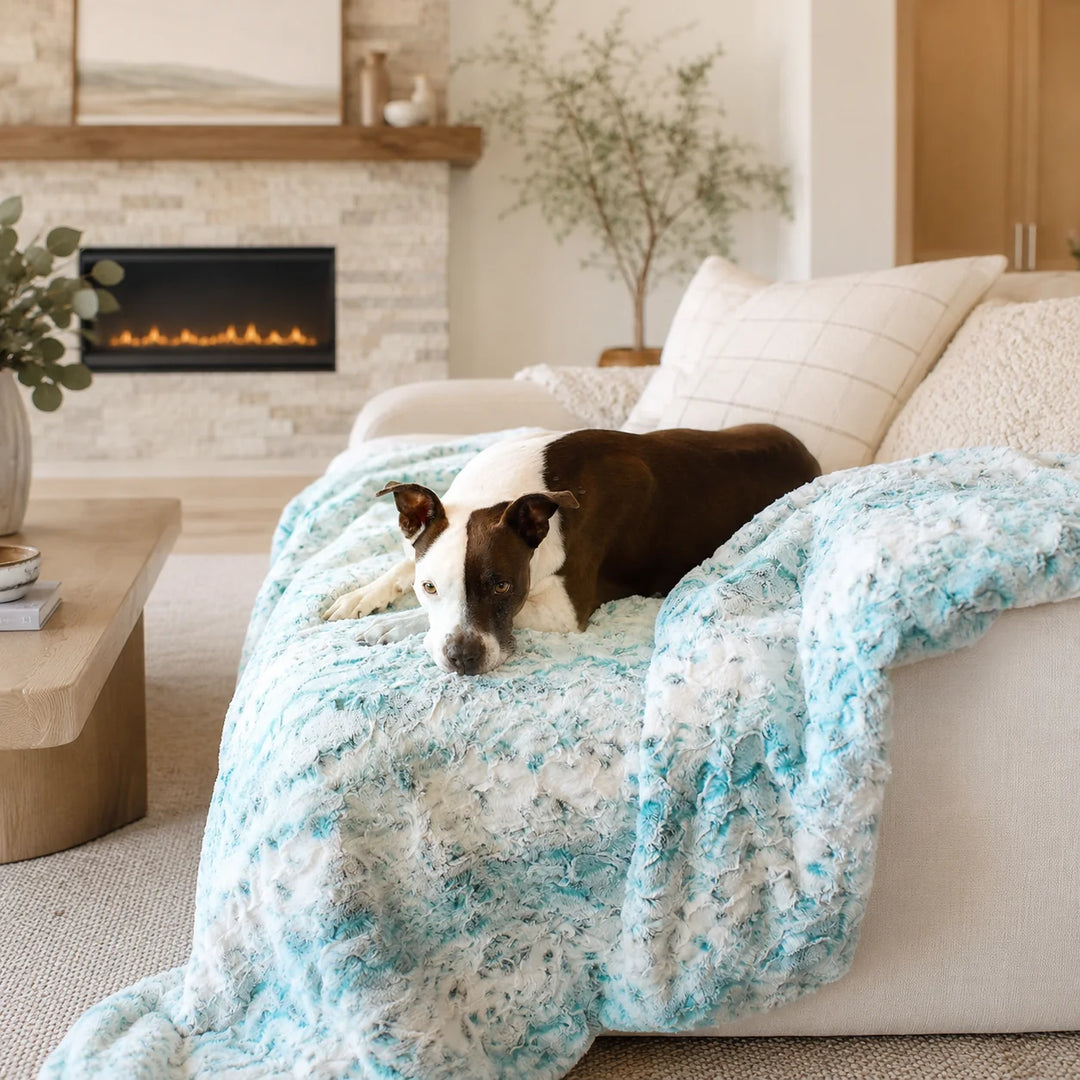 Animals Matter Pearl Leopard Faux Fur Dog Blanket Teal Leopard luxury faux fur dog blanket on a sofa, featuring a brown-and-white Companion resting by the fireplace.