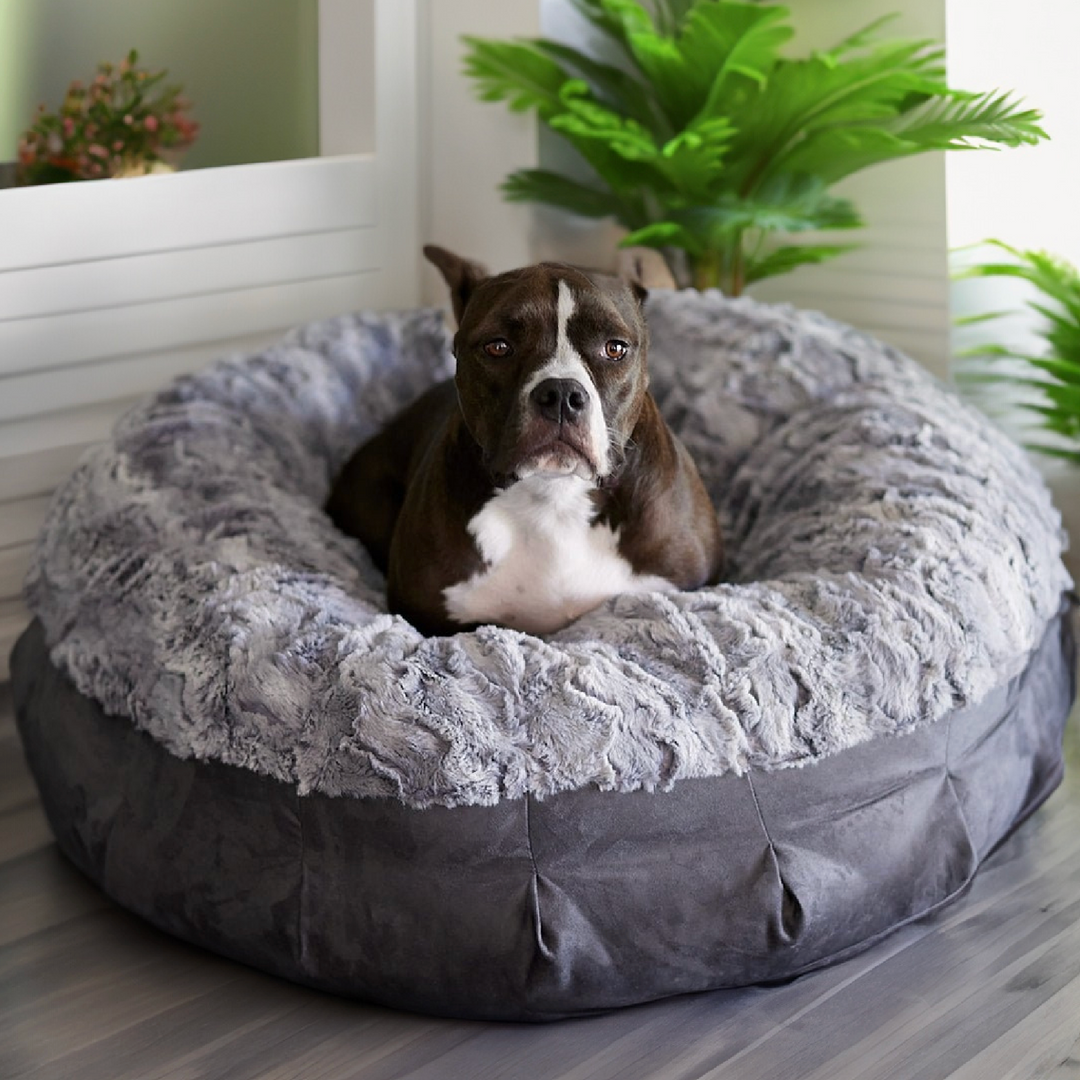 Most expensive dog bed best sale