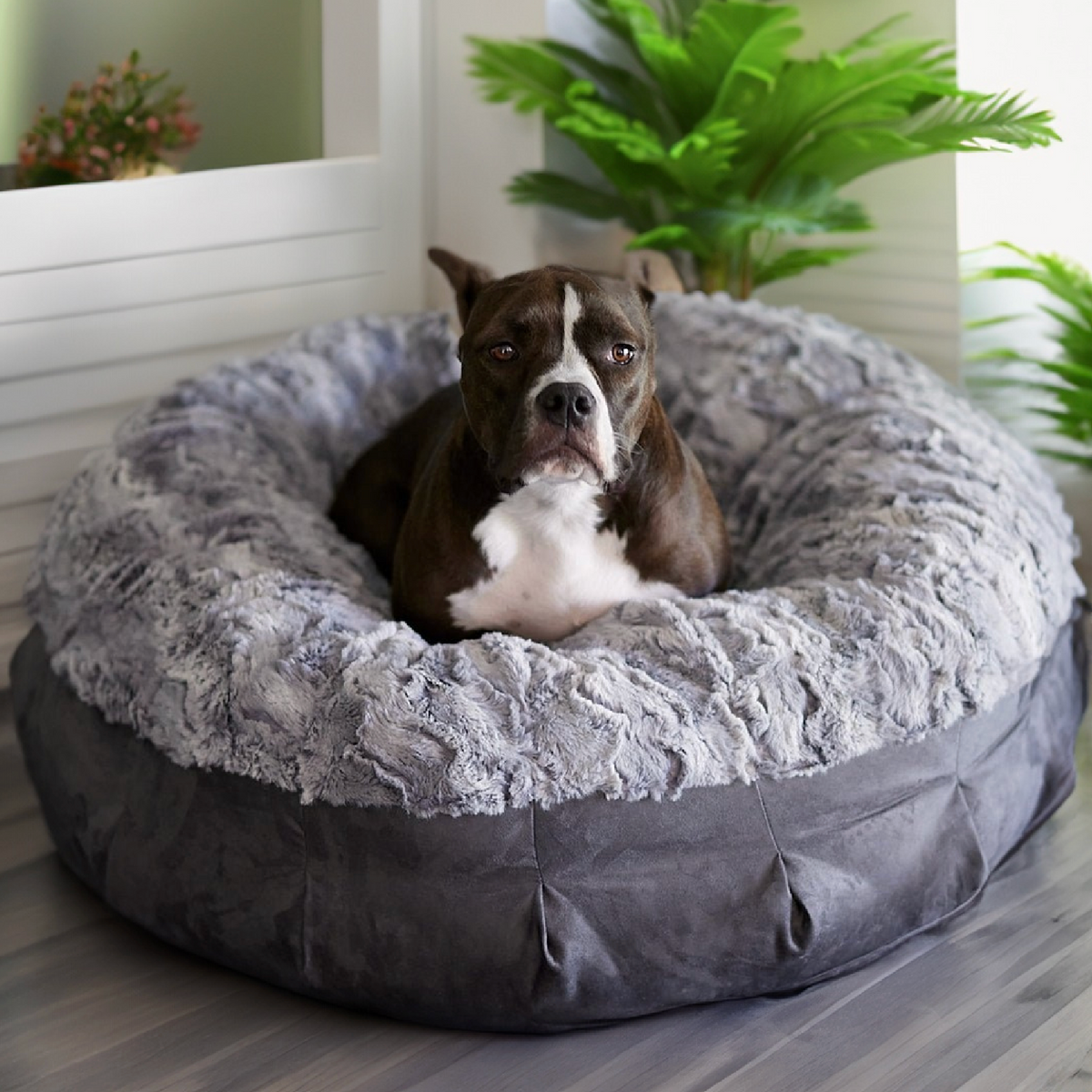 Katie puff dog bed clearance