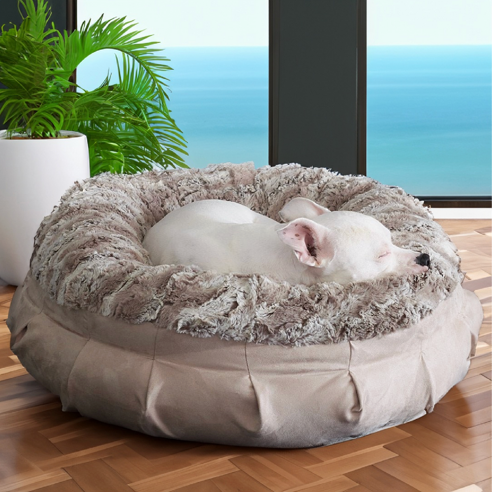 Fancy dog beds for sale hotsell