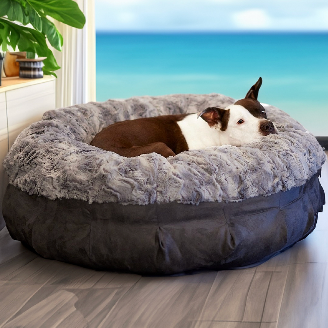 Dog in a bed best sale