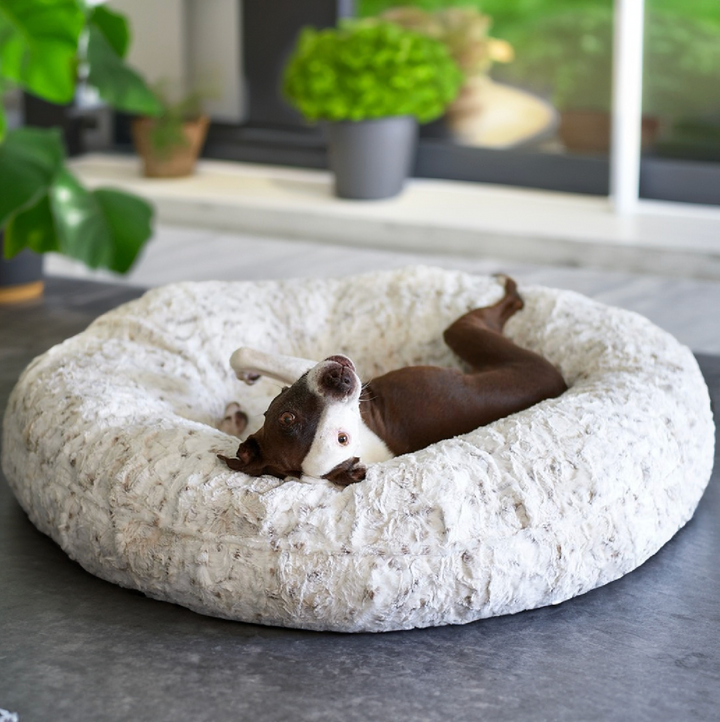 Ruby Laying in her New Animals Matter pearl leopard donut luxury dog bed