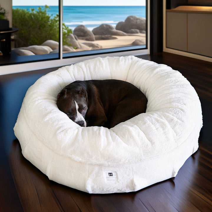 ALI relaxing on the NEW: Raine Puff™ Companion-Pedic® Luxury Dog Bed - Animals Matter, Inc.