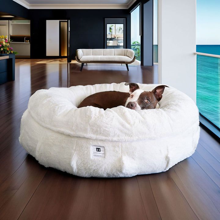 Ruby relaxing on the NEW: Raine Puff™ Companion-Pedic® Luxury Dog Bed - Animals Matter, Inc.
