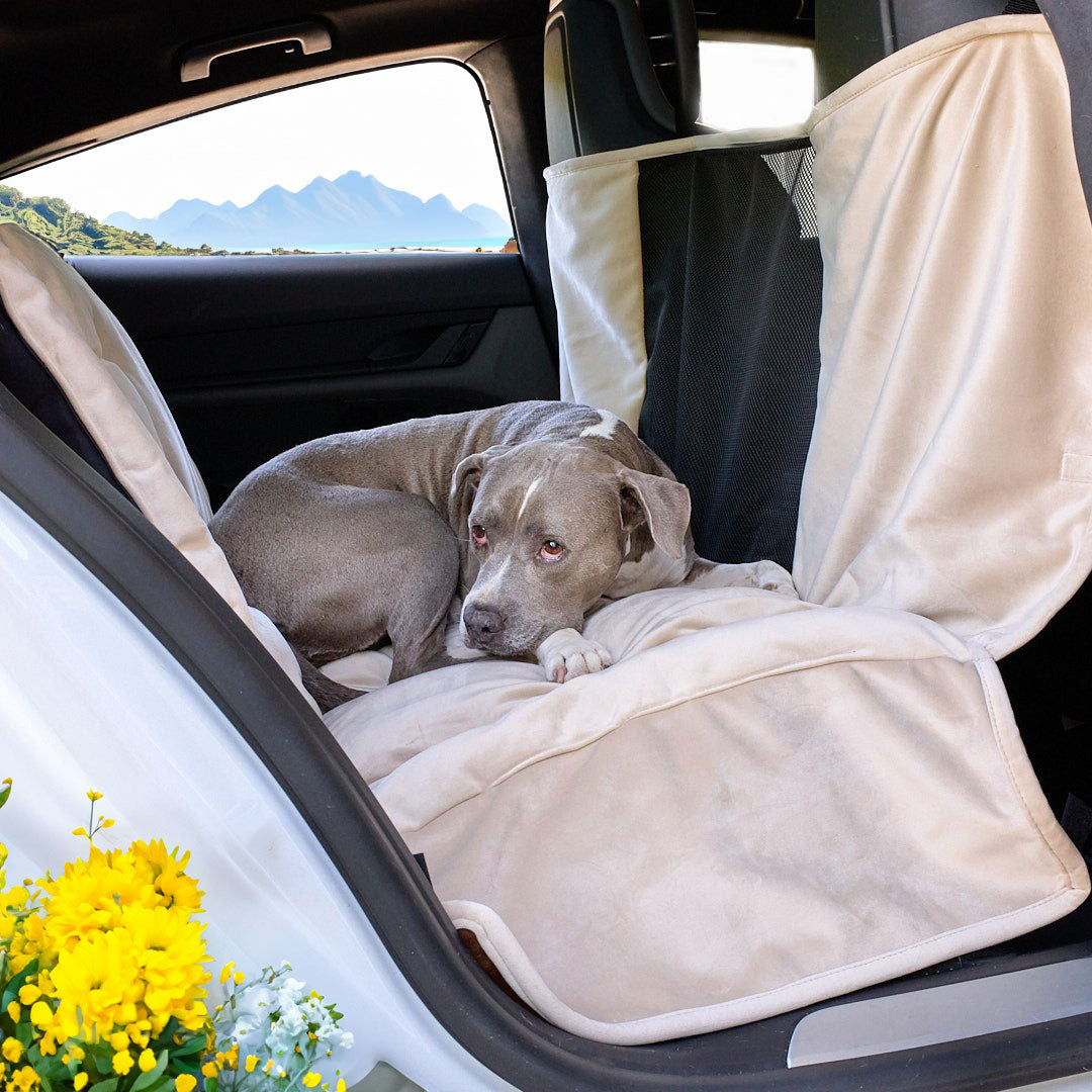 Raine enjoying on a car ride on her Animals Matter® Companion Travel Hammock in Camel.