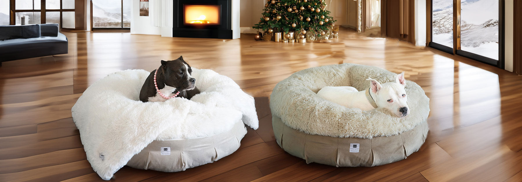 Ali and Hudson relaxing on our NEW: Roxy Ortho Puff® Companion-Pedic® Luxury Dog Bed , each one in our 2 styles beach and winter, the background is a stunning home in the mountains with an open concept and incredible views of the landscape covered in winter themed tones 