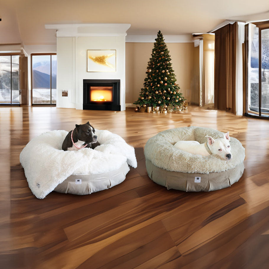 Ali and Hudson relaxing on our NEW: Roxy Ortho Puff® Companion-Pedic® Luxury Dog Bed , each one in our 2 styles beach and winter, the background is a stunning home in the mountains with an open concept and incredible views of the landscape covered in winter themed tones 
