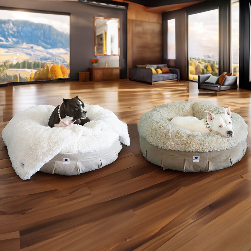 Ali and Hudson relaxing on our NEW: Roxy Ortho Puff® Companion-Pedic® Luxury Dog Bed , each one in our 2 styles beach and winter, the background is a stunning home in the mountains with an open concept and incredible views of the landscape covered in Fall themed tones 