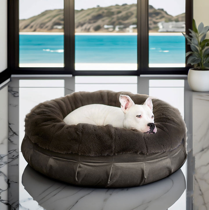 Hudson relaxing on a luxury orthopedic dog bed, Ruby Puff® Ortho Companion-Pedic® Luxury Dog Bed - Animals Matter, Inc., in color charcoal 