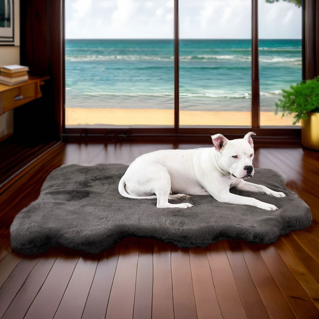 Ruby Puff® Ortho Companion-Pedic® Luxury Dog Bed Rug - Animals Matter, Inc.