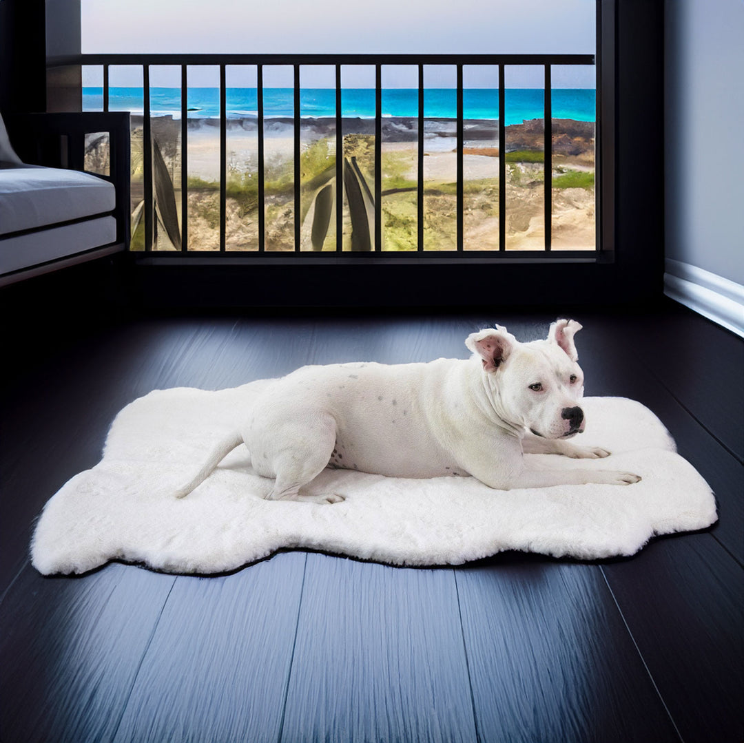 Ruby Puff® Ortho Companion-Pedic®  Luxury Dog Bed Rug