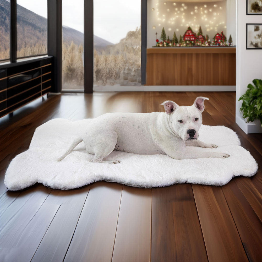 Ruby Puff® Ortho Companion-Pedic® Luxury Dog Bed Rug - Animals Matter, Inc.